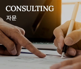 CONSULTING 자문